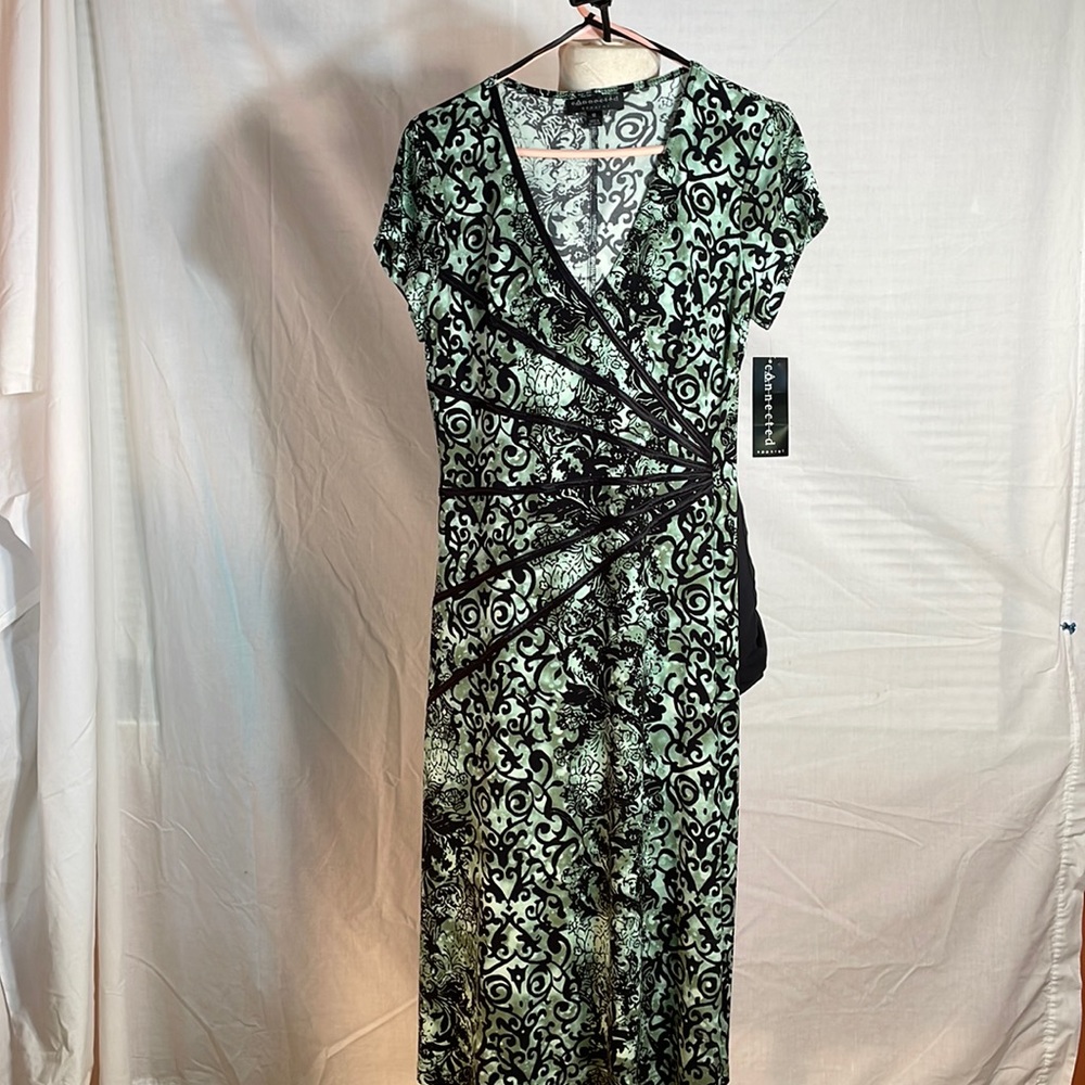 Stunning NWT Dress.